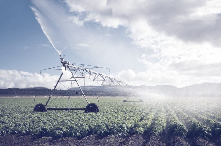 A pivot irrigator watering a field of crops